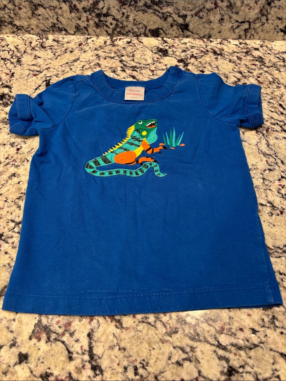 Hanna Andersson Blue Short-Sleeve Tee with Colorful Lizard Patch